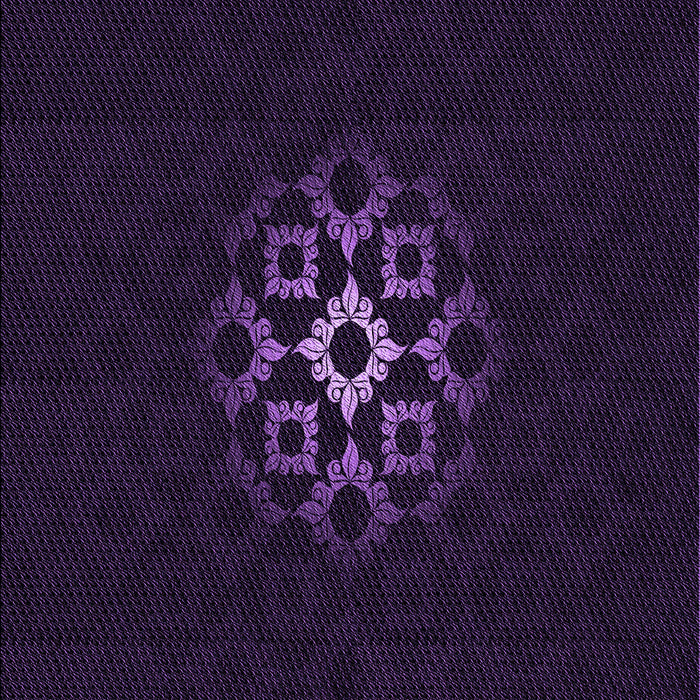 Machine Washable Transitional Purple Rug, wshpat219pur