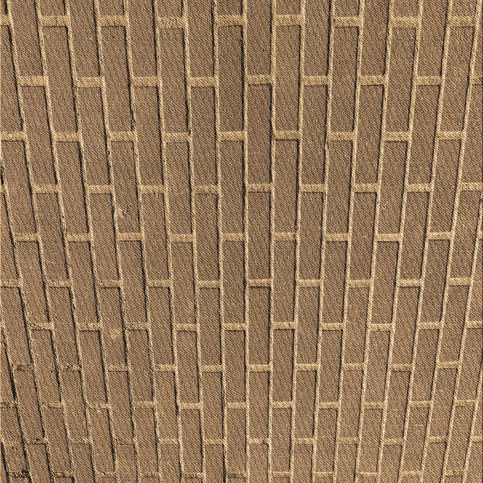 Patterned Saddle Brown Rug, pat2190brn