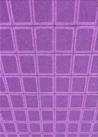 Machine Washable Transitional Purple Rug, wshpat2191pur