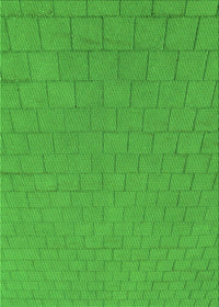 Machine Washable Transitional Lime Green Rug, wshpat2192grn