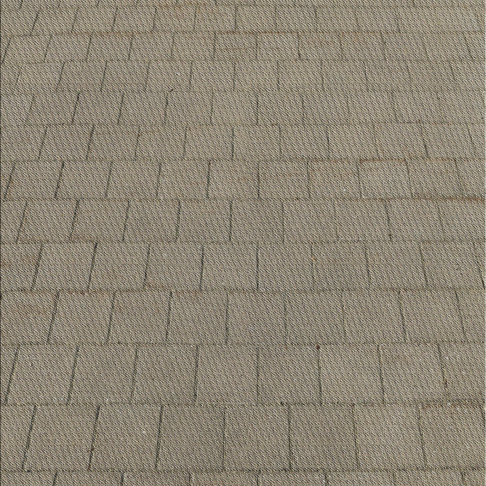 Patterned Sand Brown Novelty Rug, pat2192