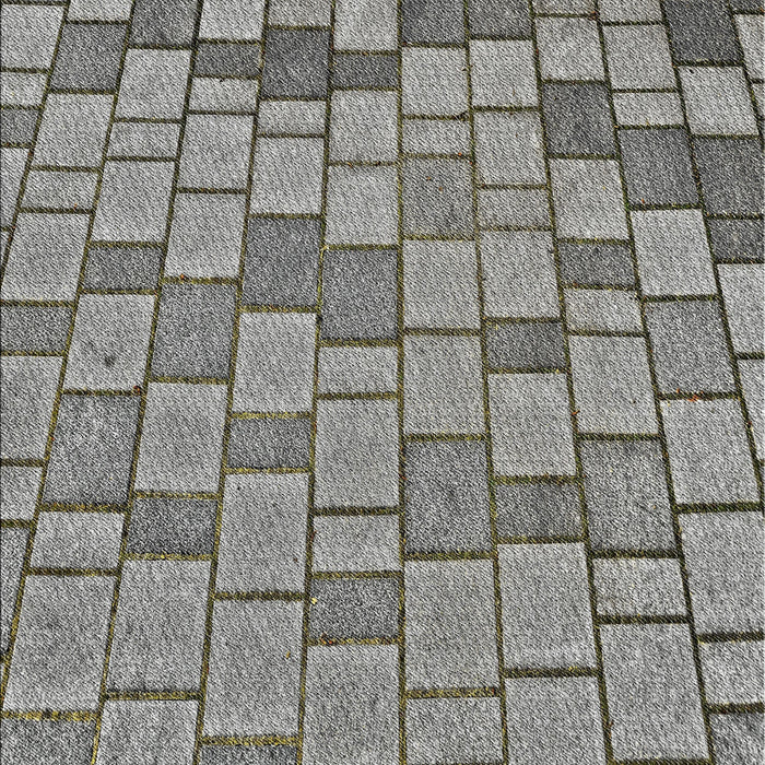 Machine Washable Transitional Gray Rug, wshpat2193