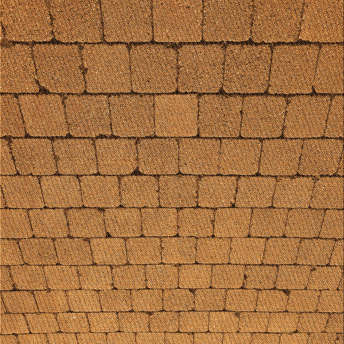 Machine Washable Transitional Mahogany Brown Rug, wshpat2194org