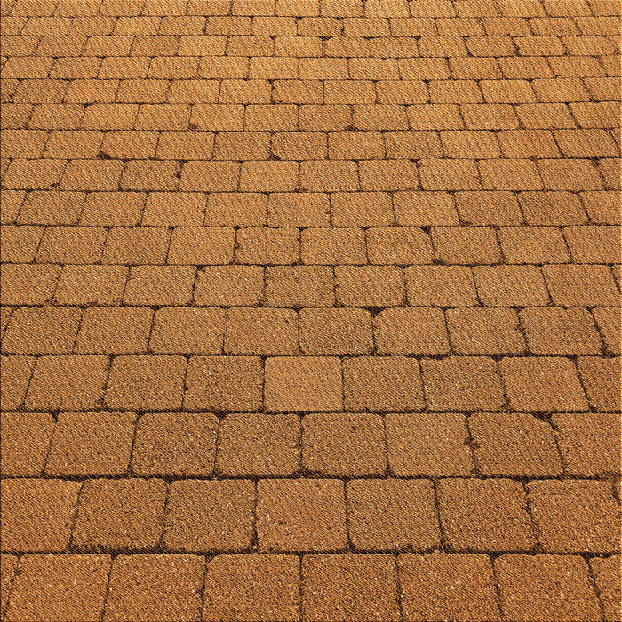 Round Machine Washable Transitional Mahogany Brown Rug, wshpat2194org