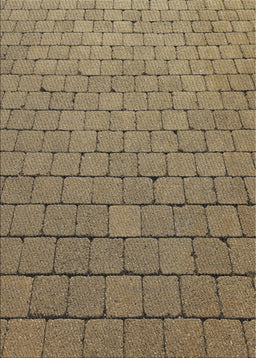 Patterned Brownish Green Novelty Rug, pat2194