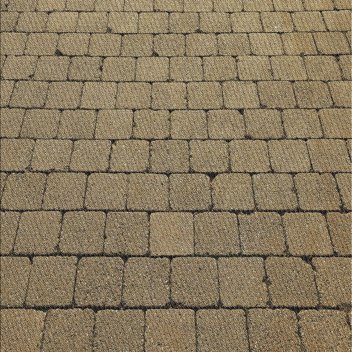 Patterned Brownish Green Novelty Rug, pat2194