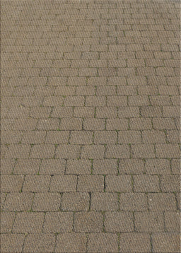 Machine Washable Transitional Dark Brown Rug, wshpat2196