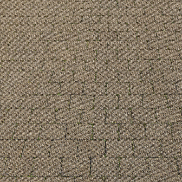 Machine Washable Transitional Dark Brown Rug, wshpat2196