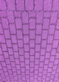 Machine Washable Transitional Purple Rug, wshpat2197pur