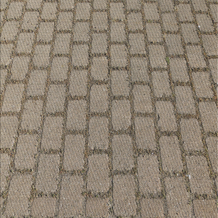 Patterned Tan Brown Novelty Rug, pat2197