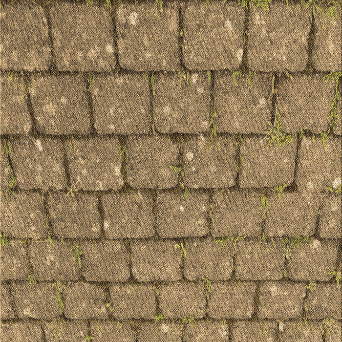 Machine Washable Transitional Red Brown Rug, wshpat2198brn