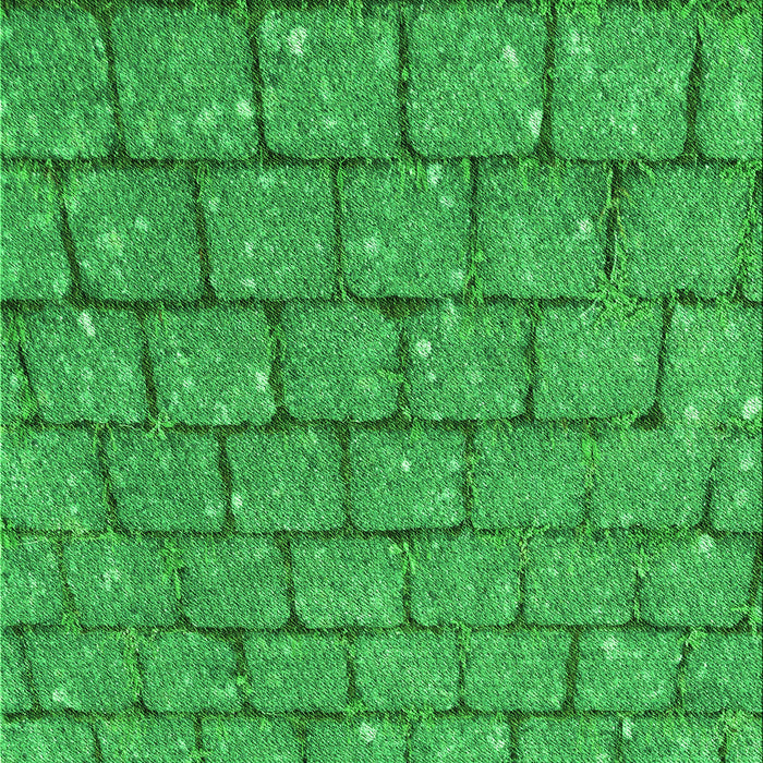 Machine Washable Transitional Neon Green Rug, wshpat2198grn