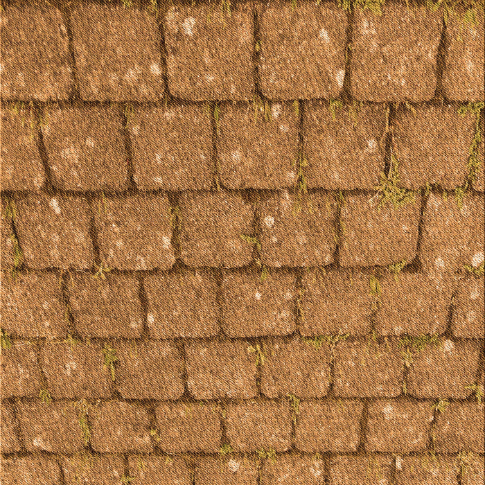 Machine Washable Transitional Mahogany Brown Rug, wshpat2198org