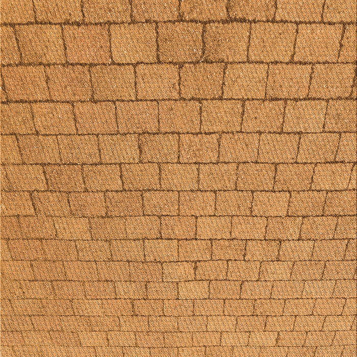 Patterned Sedona Brown Rug, pat2199org