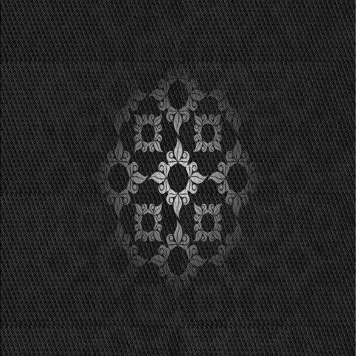 Machine Washable Transitional Black Rug, wshpat219