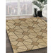 Machine Washable Transitional Light Brown Rug in a Family Room, wshpat2200brn