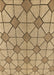 Machine Washable Transitional Light Brown Rug, wshpat2200brn