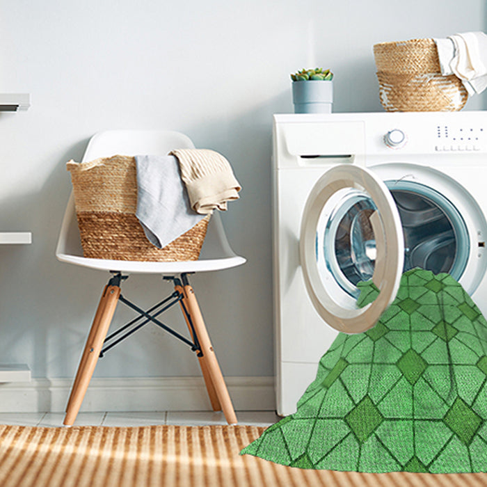 Machine Washable Transitional Green Rug in a Washing Machine, wshpat2200grn