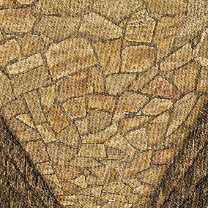 Machine Washable Transitional Saddle Brown Rug, wshpat2201brn