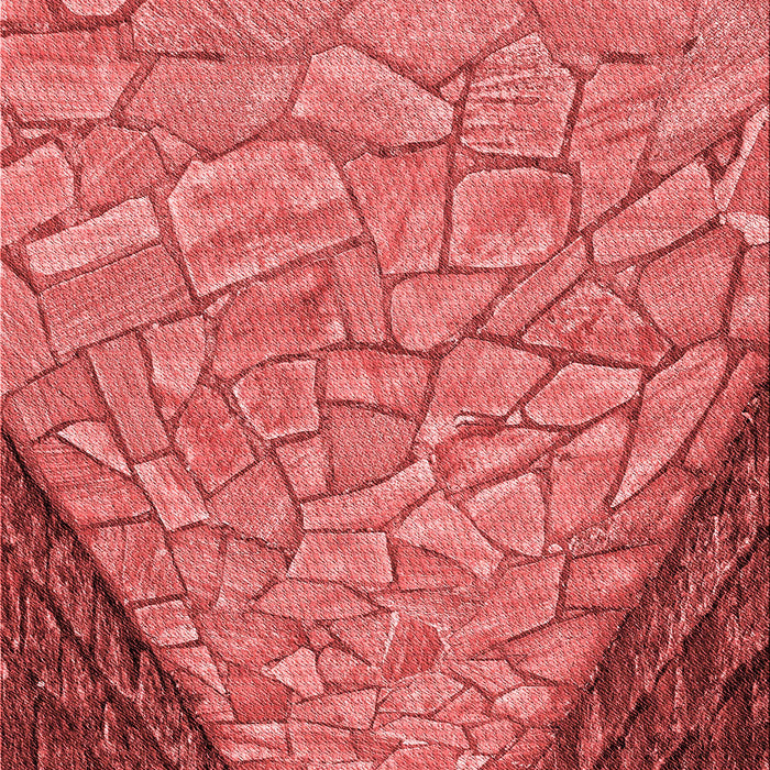 Machine Washable Transitional Red Rug, wshpat2201rd