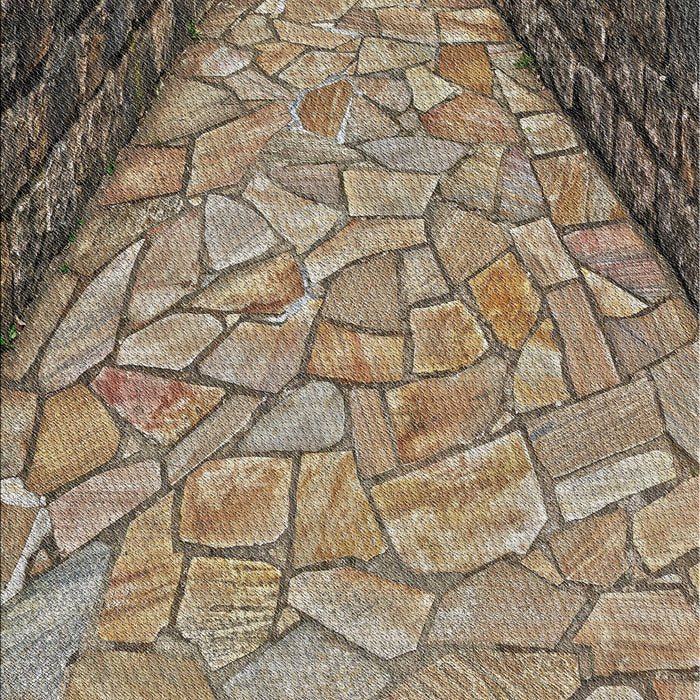 Patterned Light French Beige Brown Novelty Rug, pat2201