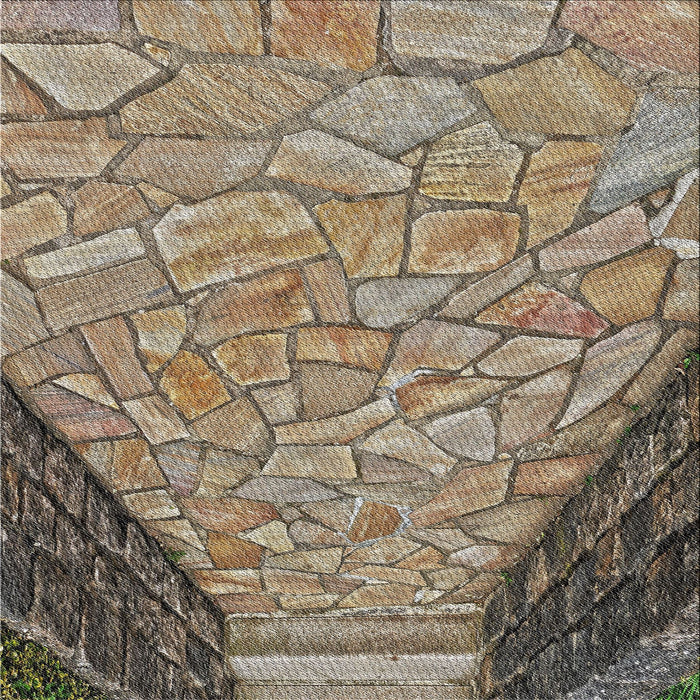 Sideview of Machine Washable Transitional Light French Beige Brown Rug, wshpat2201