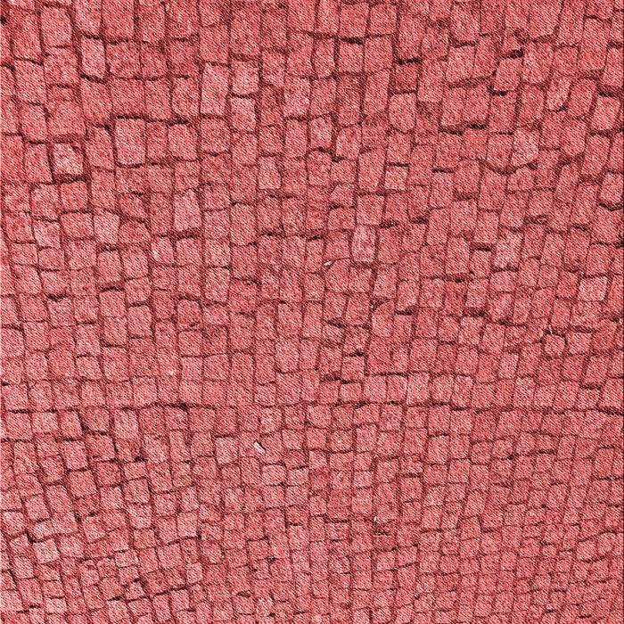 Machine Washable Transitional Red Rug, wshpat2202rd