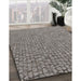 Patterned Gray Novelty Rug in Family Room, pat2202