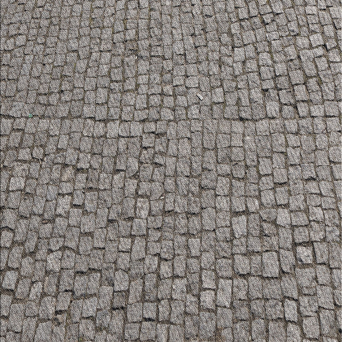 Machine Washable Transitional Gray Rug, wshpat2202