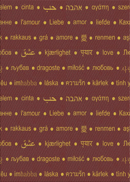 Machine Washable Transitional Rust Pink Rug, wshpat2204