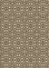 Machine Washable Transitional Bakers Brown Rug, wshpat2205brn