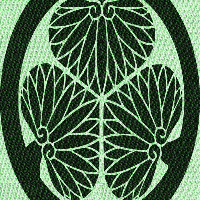 Machine Washable Transitional Black Rug, wshpat2208grn