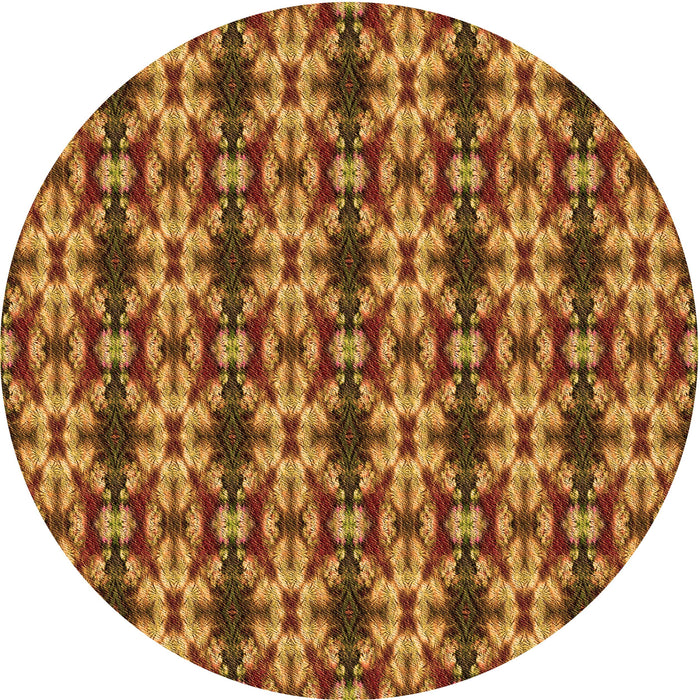 Square Machine Washable Transitional Tomato Red Rug in a Living Room, wshpat221org