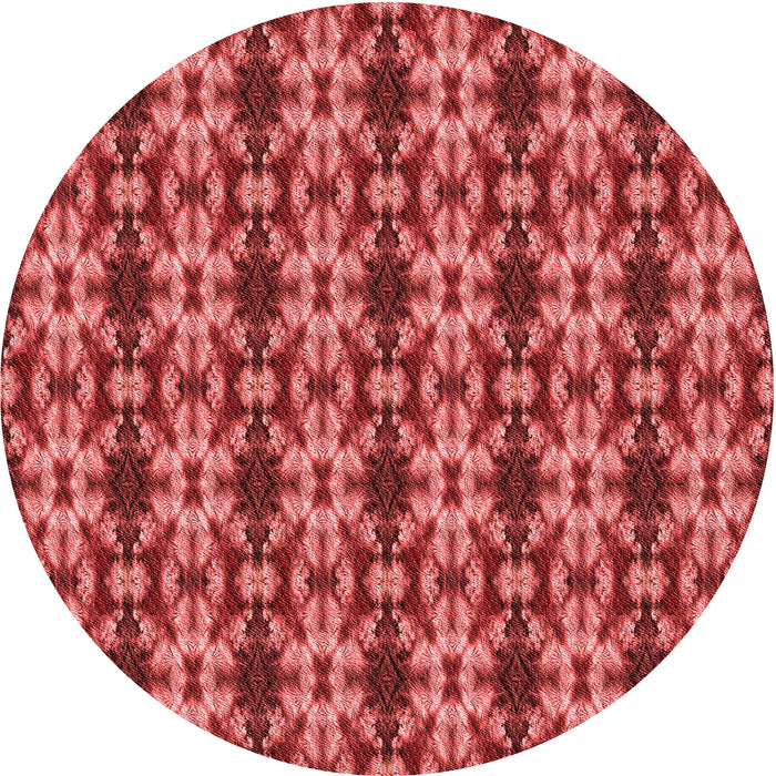 Square Machine Washable Transitional Red Rug in a Living Room, wshpat221rd