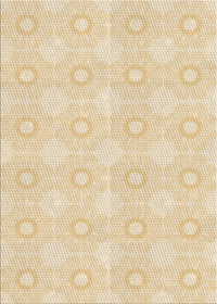 Machine Washable Transitional Golden Blonde Gold Rug, wshpat2210brn