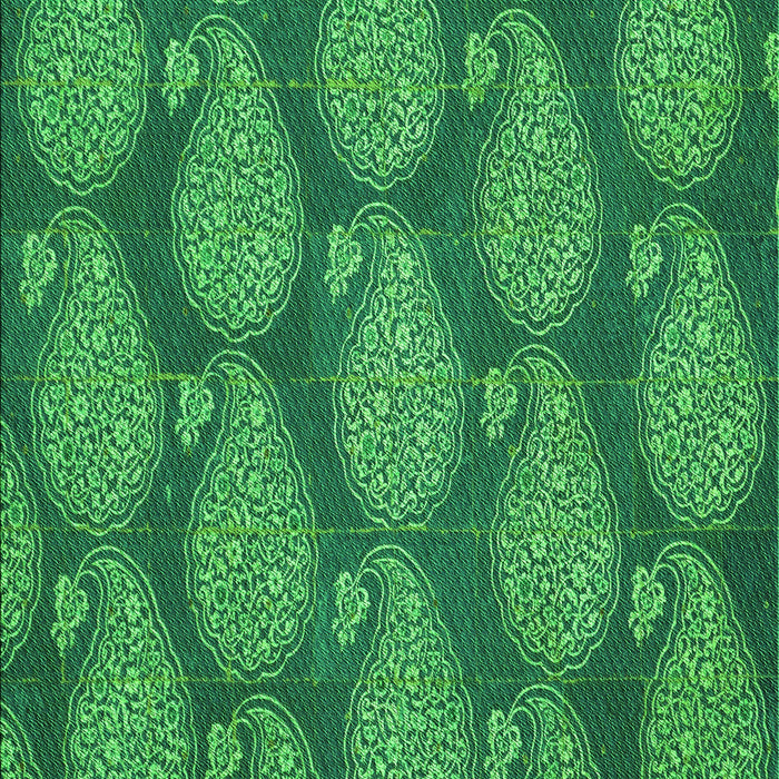 Machine Washable Transitional Forest Green Rug, wshpat2215grn