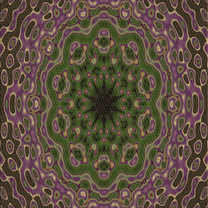 Machine Washable Transitional Purple Lily Purple Rug, wshpat2218brn