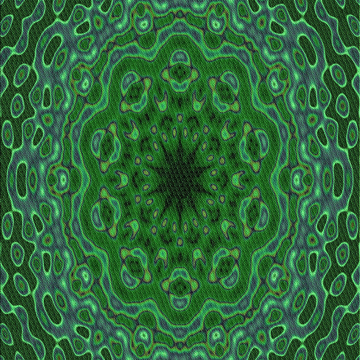 Patterned Dark Forest Green Rug, pat2218grn