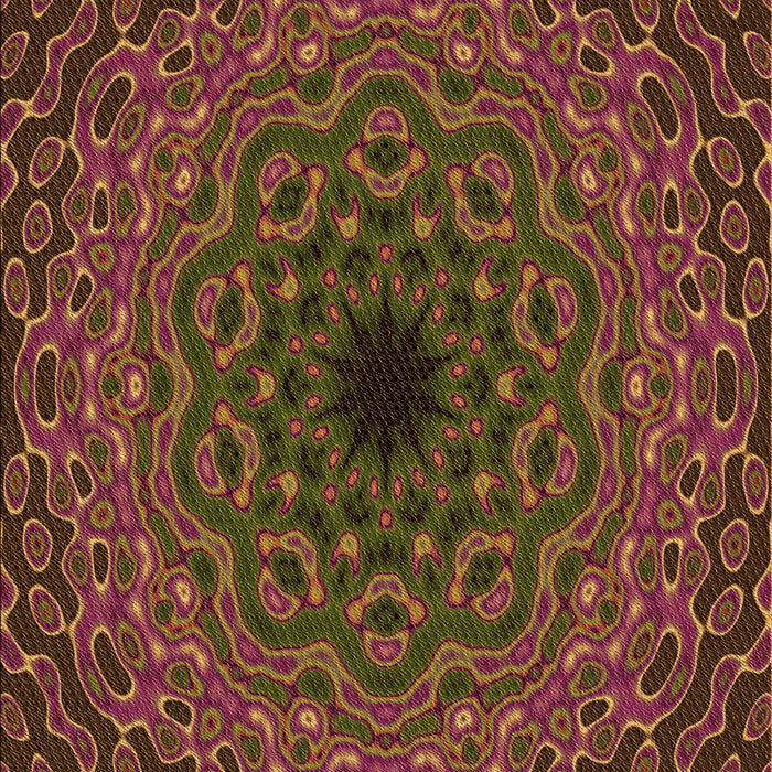 Patterned Dark Bisque Brown Rug, pat2218org