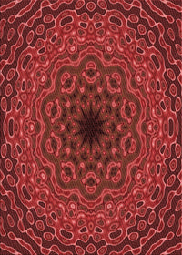 Machine Washable Transitional Red Rug, wshpat2218rd