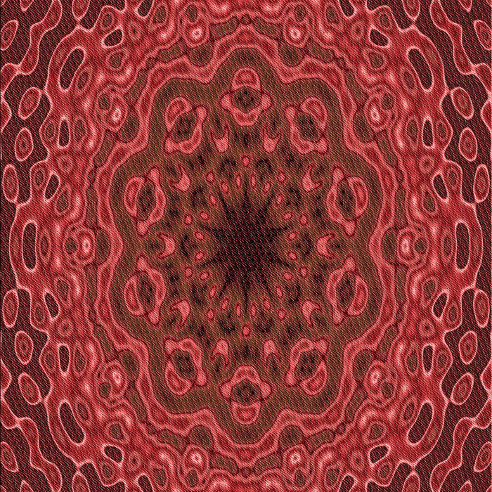 Machine Washable Transitional Red Rug, wshpat2218rd