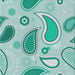 Sideview of Machine Washable Transitional Mint Green Rug, wshpat2221