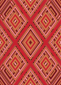 Machine Washable Transitional Bright Orange Rug, wshpat2224rd