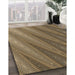 Patterned Metallic Gold Rug in Family Room, pat2226brn