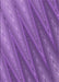 Patterned Purple Rug, pat2226pur