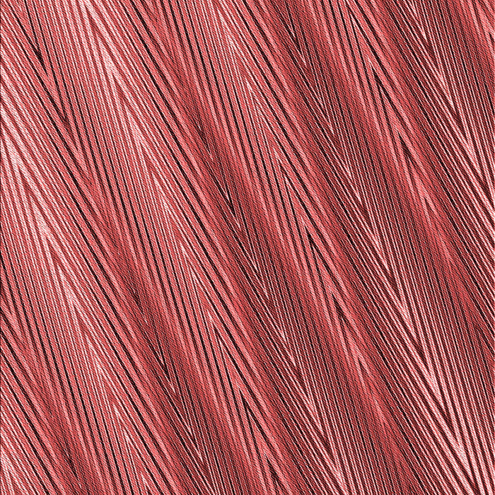 Patterned Tomato Red Rug, pat2226rd