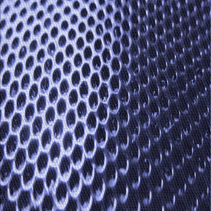 Patterned Night Blue Rug, pat2227blu