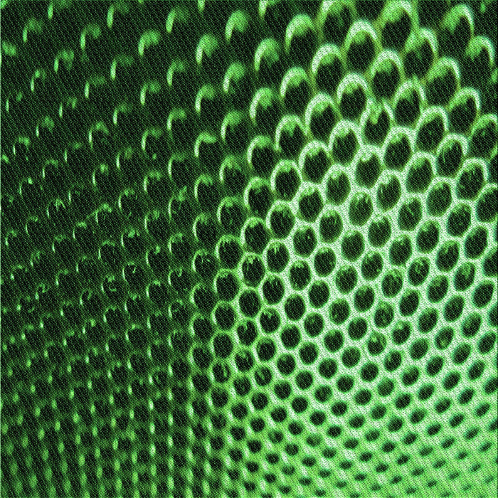 Round Patterned Dark Forest Green Rug, pat2227grn