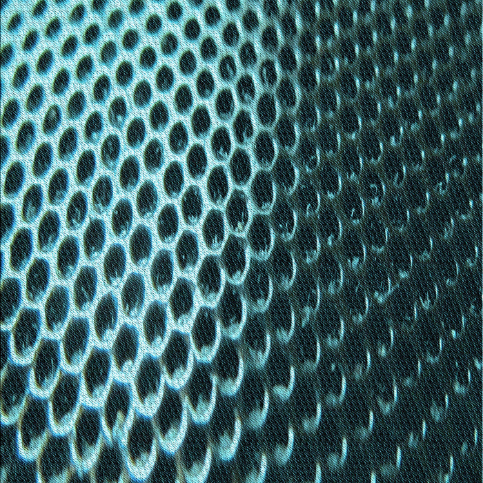 Patterned Deep Teal Green Rug, pat2227lblu