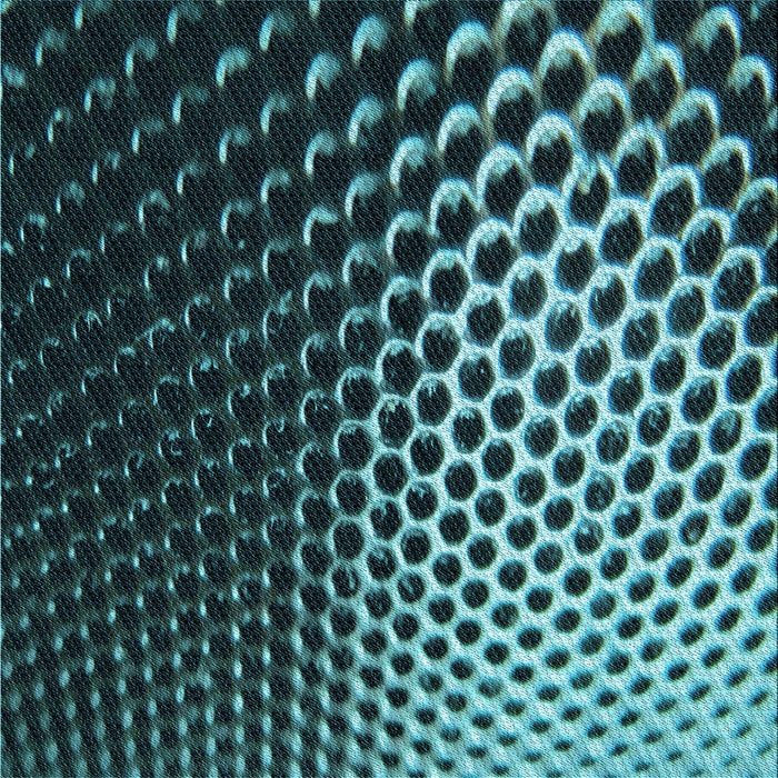 Round Patterned Deep Teal Green Rug, pat2227lblu